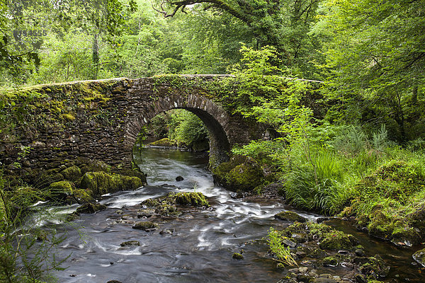 Steinbrücke über einen Bach