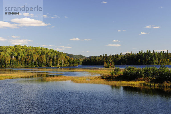 See Lac Monroe  Seenlandschaft und Waldlandschaft
