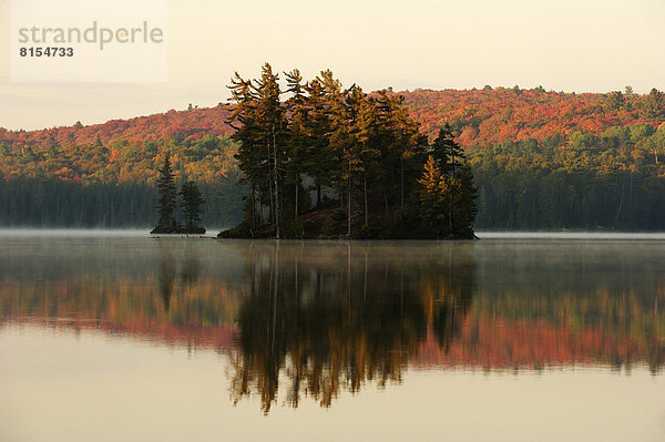 Kleine Insel im See Thompson Lake und farbiger Herbstwald spiegeln sich im Wasser  Abendstimmung