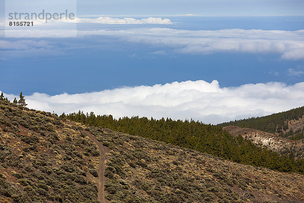 Spain  View of Teide National Park