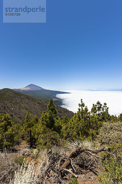 Spanien  Blick auf den Teide Nationalpark