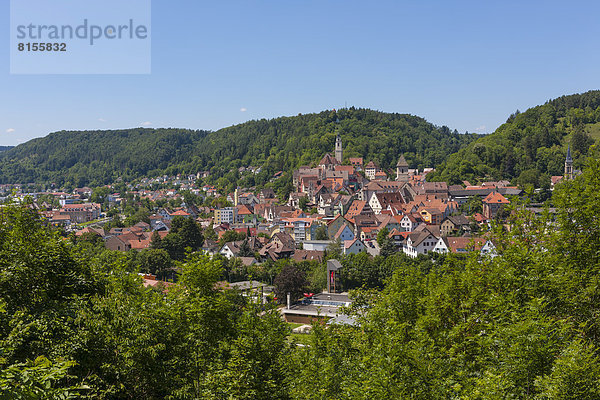 Germany  Baden Wuerttemberg  View of Horb am Neckar at Black Forest