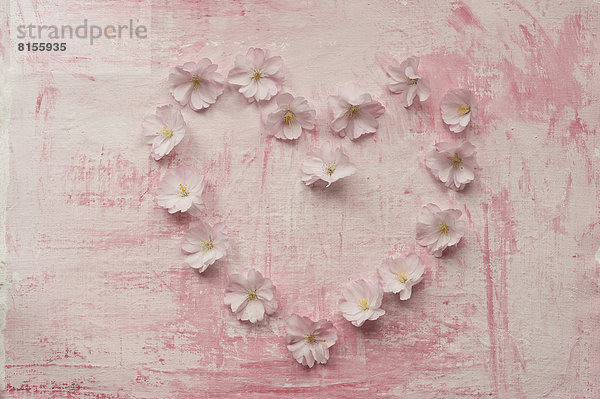 Herzform mit rosa Kirschblüte  Nahaufnahme