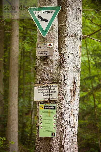 Monbachtal  Schwarzwald  Baden-Württemberg  Deutschland  Europa