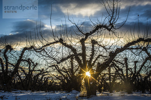 über  aufwärts  Wald  trocken  Sonne