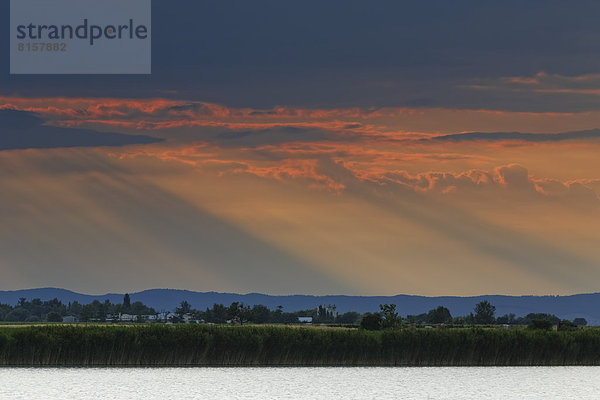 Österreich  Burgenland  Blick auf den Nationalpark Neusiedler See Seewinkel bei Sonnenuntergang