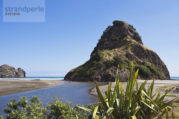 Neuseeland  Blick auf den Löwenfelsen am Strand von Piha