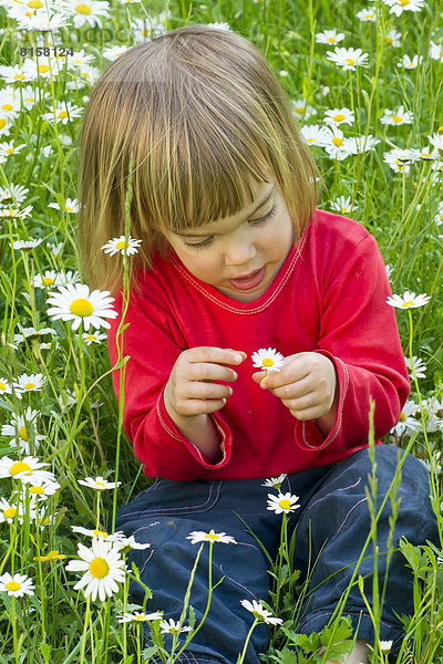 Germany  Girl sitting in flower field