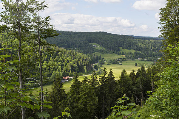 Germany  Baden Wuerttemberg  View of Black Forest