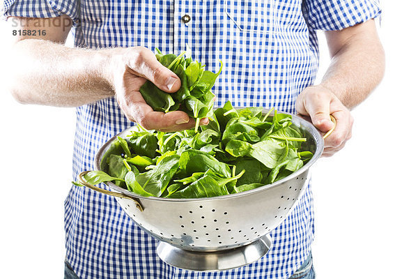 Mature man holding colander with spinach leaves against white background  close up