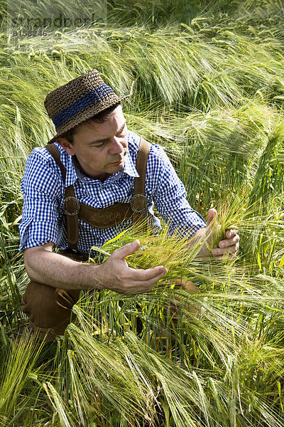 Germany  Bavaria  Farmer harvesting in field