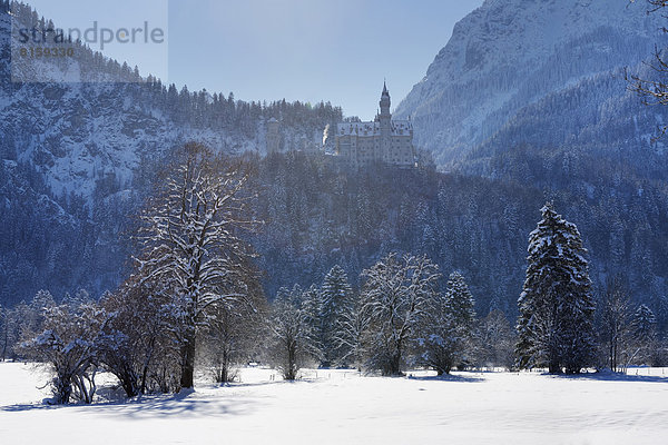 Deutschland  Bayern  Blick auf Schloss Neuschwanstein