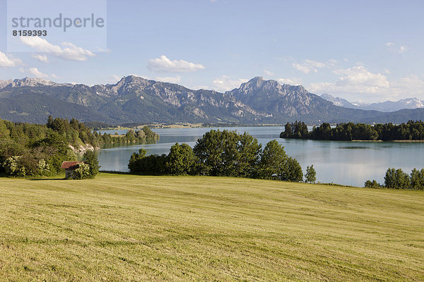 Deutschland  Bayern  Blick auf die idyllische Landschaft am Forggensee
