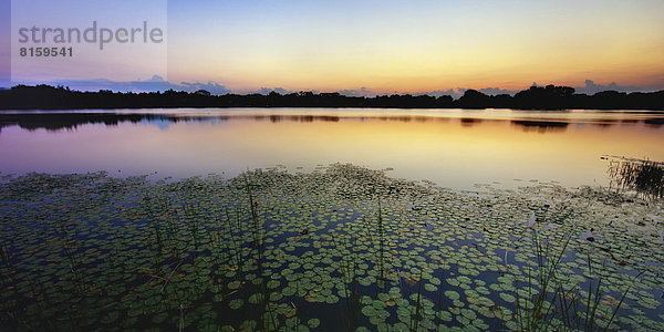 USA  Florida  Maitland  Blick auf Lake Destiny bei Sonnenuntergang