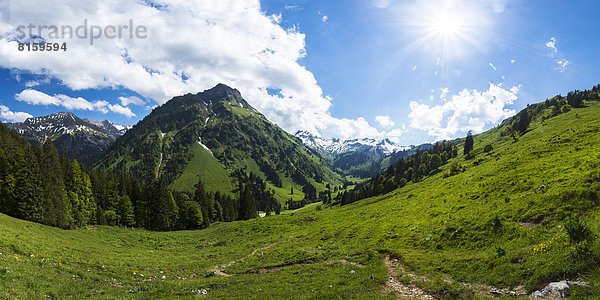 Deutschland  Bayern  Blick auf die Allgäuer Hochalpen