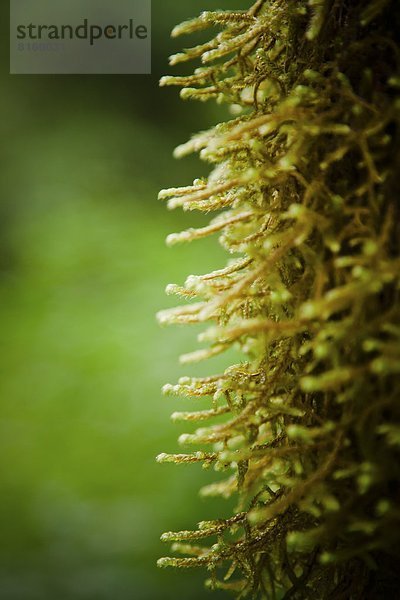 Außenaufnahme  Natur  freie Natur