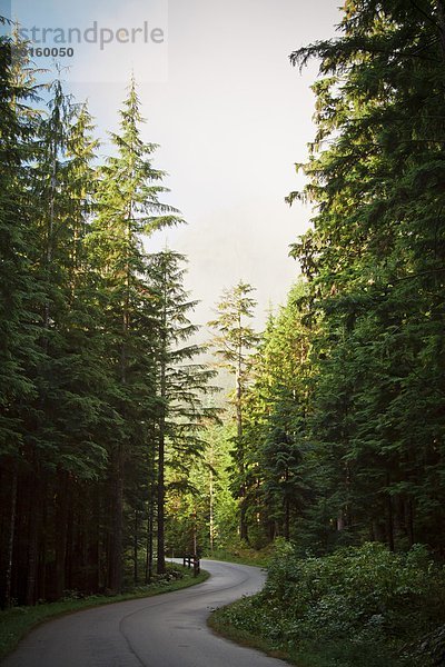 Außenaufnahme  Natur  freie Natur