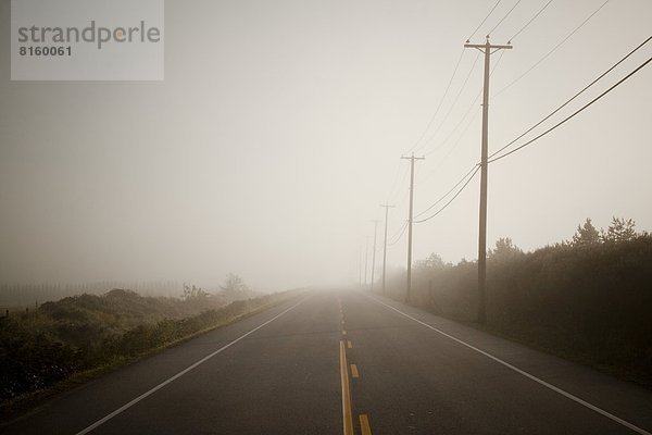 Foggy Road