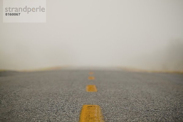 Foggy Road