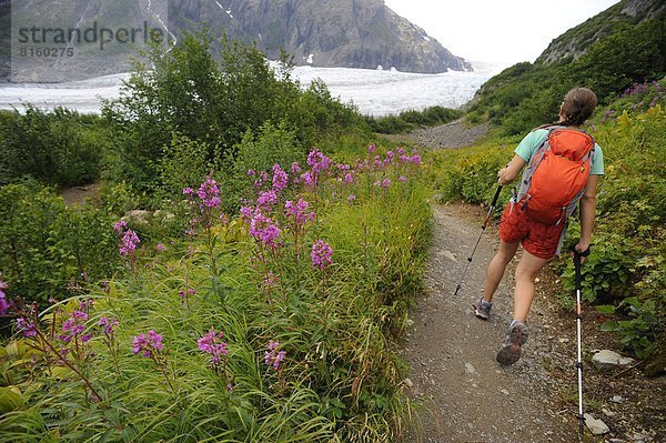 nahe  folgen  Rucksackurlaub  wandern  Fjord  Harding Icefield  Eisfeld  Kenai-Fjords-Nationalpark  Alaska