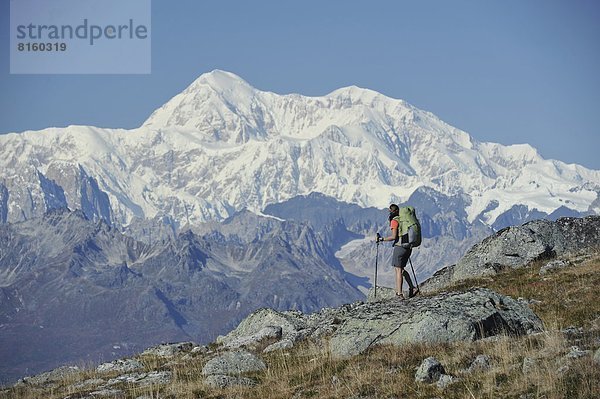 folgen  Rucksackurlaub  wandern  Denali Nationalpark  Kesugi Ridge  Alaska