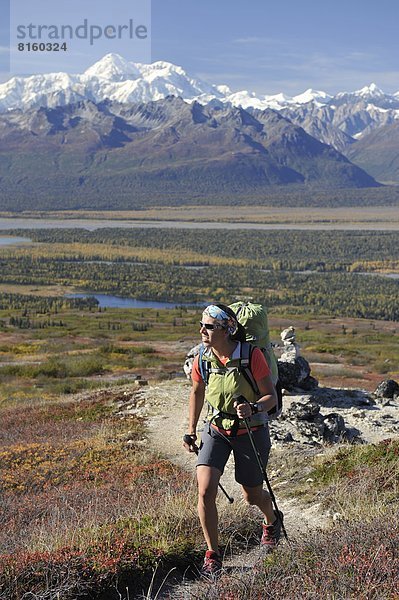 folgen  Rucksackurlaub  wandern  Denali Nationalpark  Kesugi Ridge  Alaska