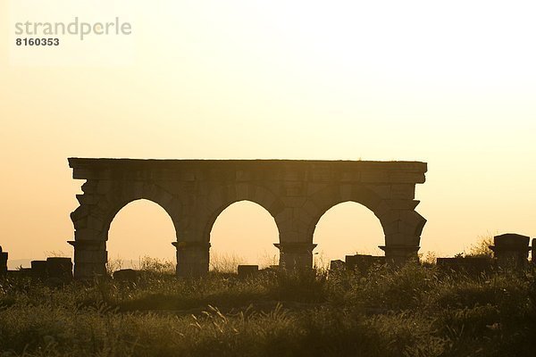nahe  Sonnenuntergang  Silhouette  Erde  Großstadt  Ruine  graben  gräbt  grabend  Stück  UNESCO-Welterbe  Erbe  Marokko  römisch  Volubilis