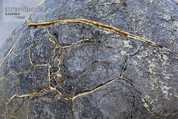 Moeraki Boulder  Detail der Steinstruktur