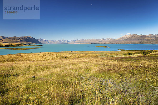 Der Lake Tekapo  die Two Thumb Range  die Hall Range und Sibbald Range