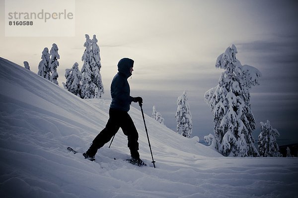 Schneeschuh  Berg  Mount Seymour