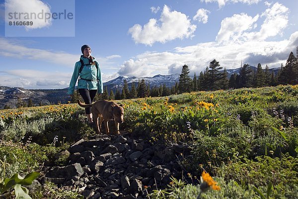 nahe  Frau  Depression  Hund  See  Landschaftlich schön  landschaftlich reizvoll  Hintergrund  Feld  wandern  Wildblume  Kalifornien  Kristall  Süden
