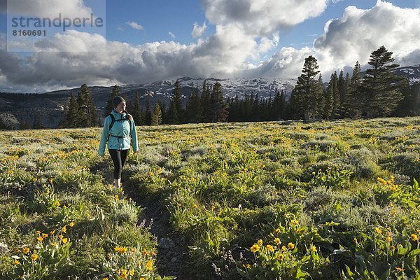 nahe  Frau  Depression  See  Landschaftlich schön  landschaftlich reizvoll  Hintergrund  Feld  wandern  Wildblume  Kalifornien  Kristall  Süden