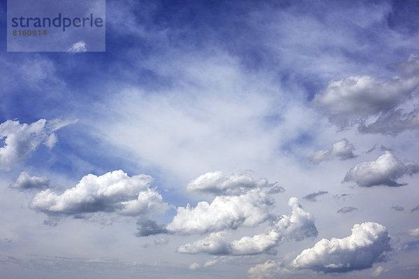 Schäfchenwolken und Federwolken  Cirruscumulus