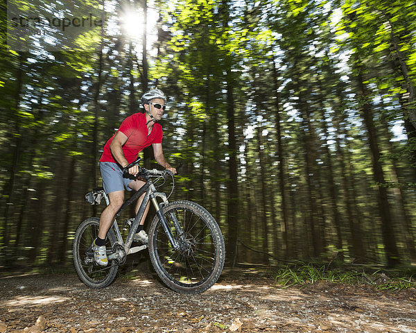 Radfahrer auf einem Mountainbike fährt durch einen Wald