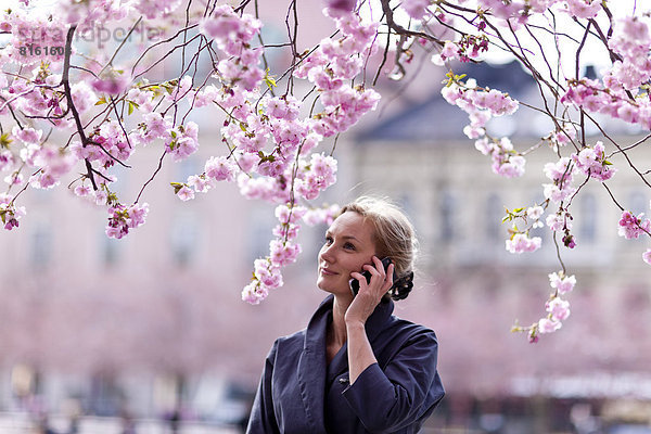 nahe  Frau  Baum  Telefon  Kirsche  Blüte  jung  Handy