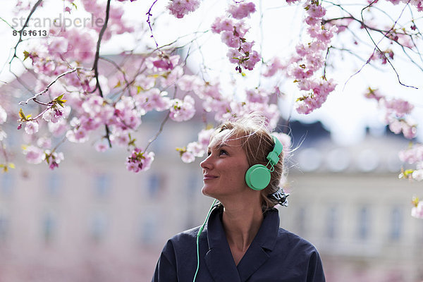 nahe  Frau  zuhören  Baum  Kirsche  Blüte  Musik