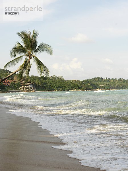 Landschaftlich schön  landschaftlich reizvoll  Strand  Baum  über  Sand  Ansicht  Palme