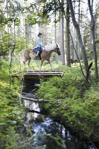fahren  Wald  reiten - Pferd  Mädchen