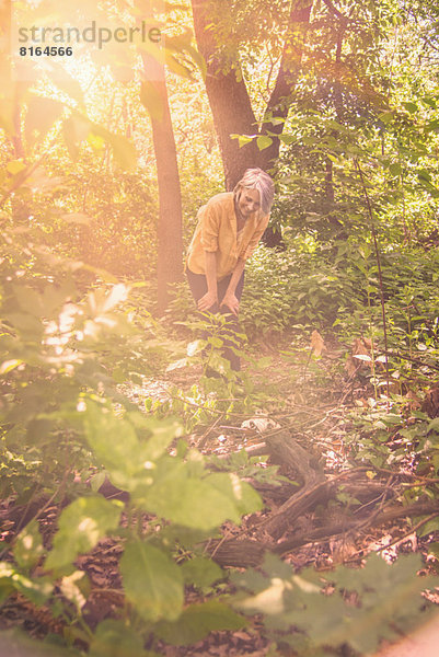 Senior  Senioren  Frau  Wald  wandern  Sonnenlicht