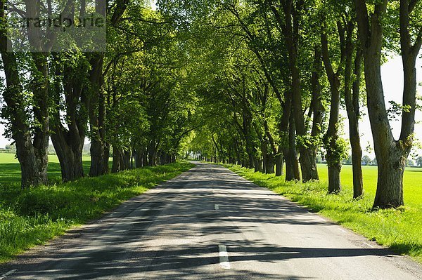 Fernverkehrsstraße  Ansicht