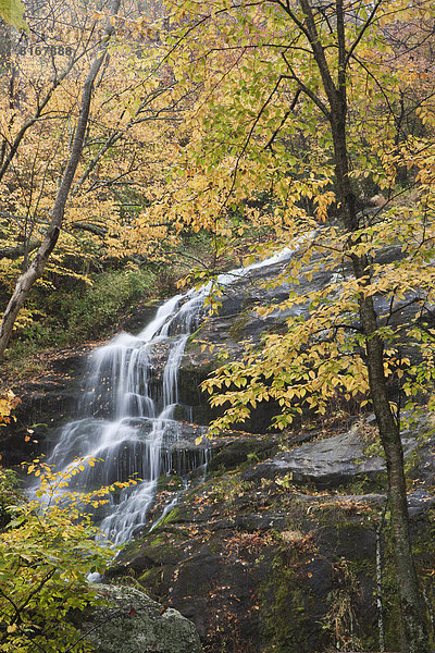 Landschaftlich schön landschaftlich reizvoll Wald Wasserfall Ansicht