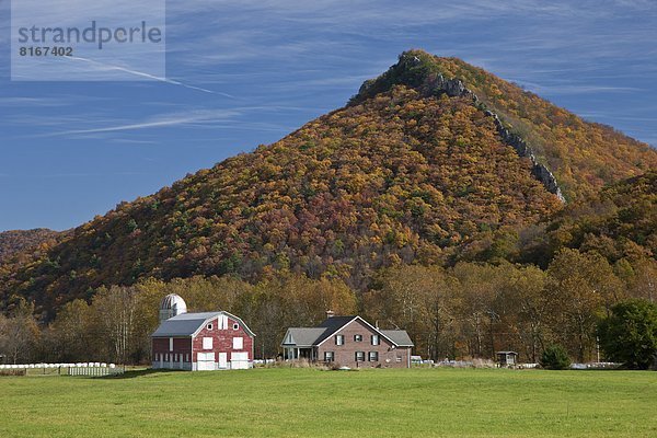 Rural landscape