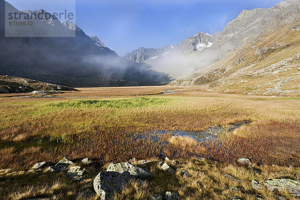 Hochmoor Hohes Moos im Morgenlicht