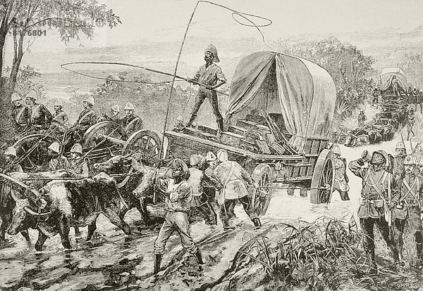 Teamwork  überqueren  Fluss  Krieg  Zeichnung  Angebot  Ochse  Heer  britisch  Kreuz  Zulu
