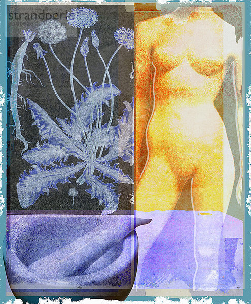 Collage mit nackter Frau  Pflanze  Mörser und Stößel