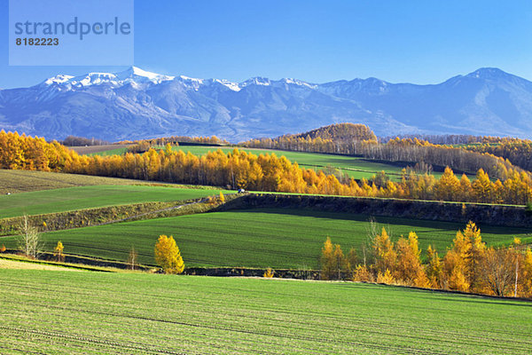 Hokkaido