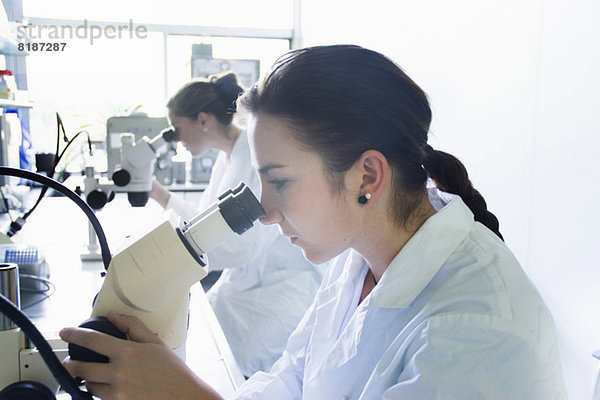 Biologiestudenten mit Mikroskopen