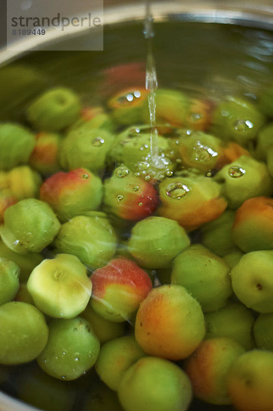 Haufen frischer grüner Äpfel im Wasser