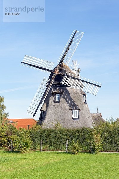 Windmühle  Dorf Mecklenburg  Mecklenburg-Vorpommern  Deutschland  Europa