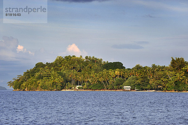 Insel Kri mit Palmen  in der Dampier-Strait